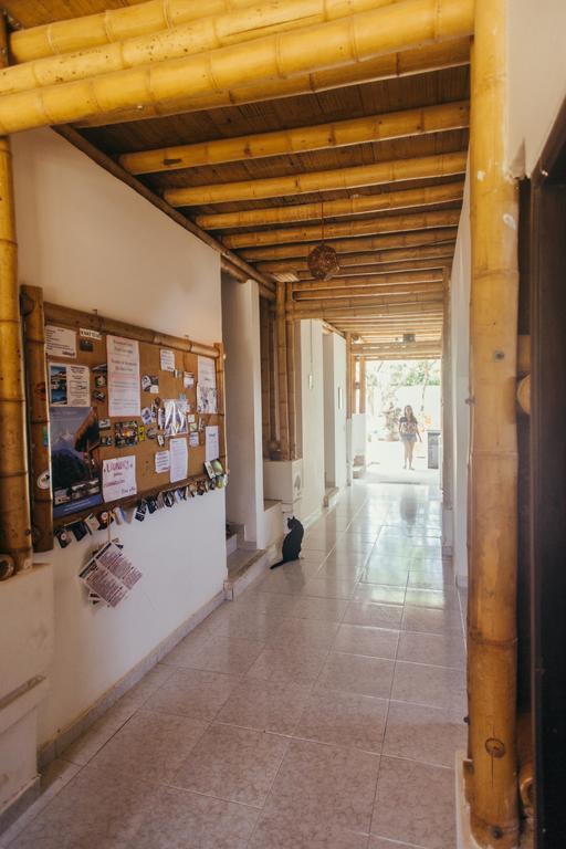 La Tortuga Hostel Taganga Exterior photo